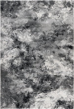 Charger l&#39;image dans la galerie, Pierre Cardin Panoramas gris 2
